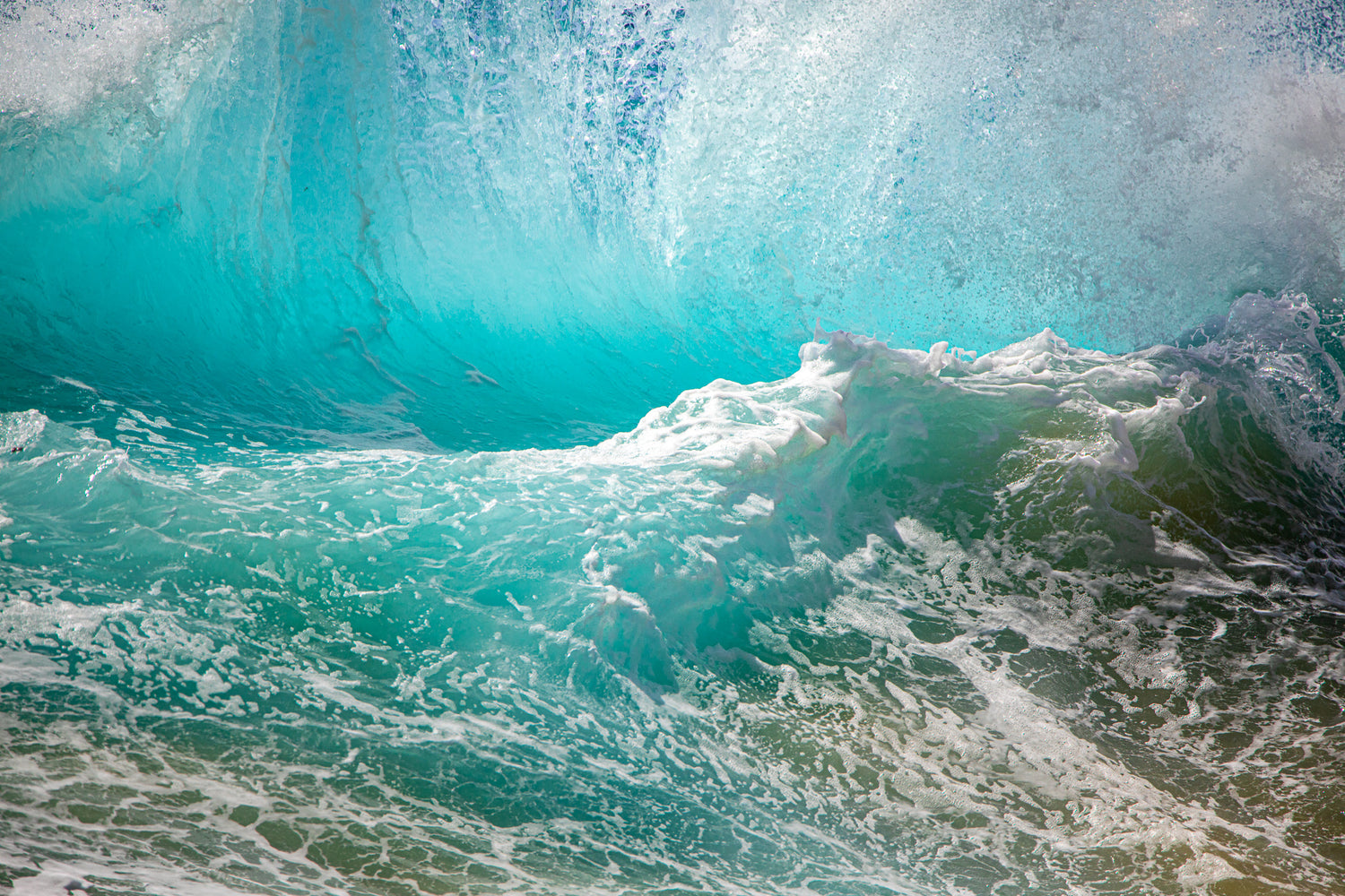 WAVES