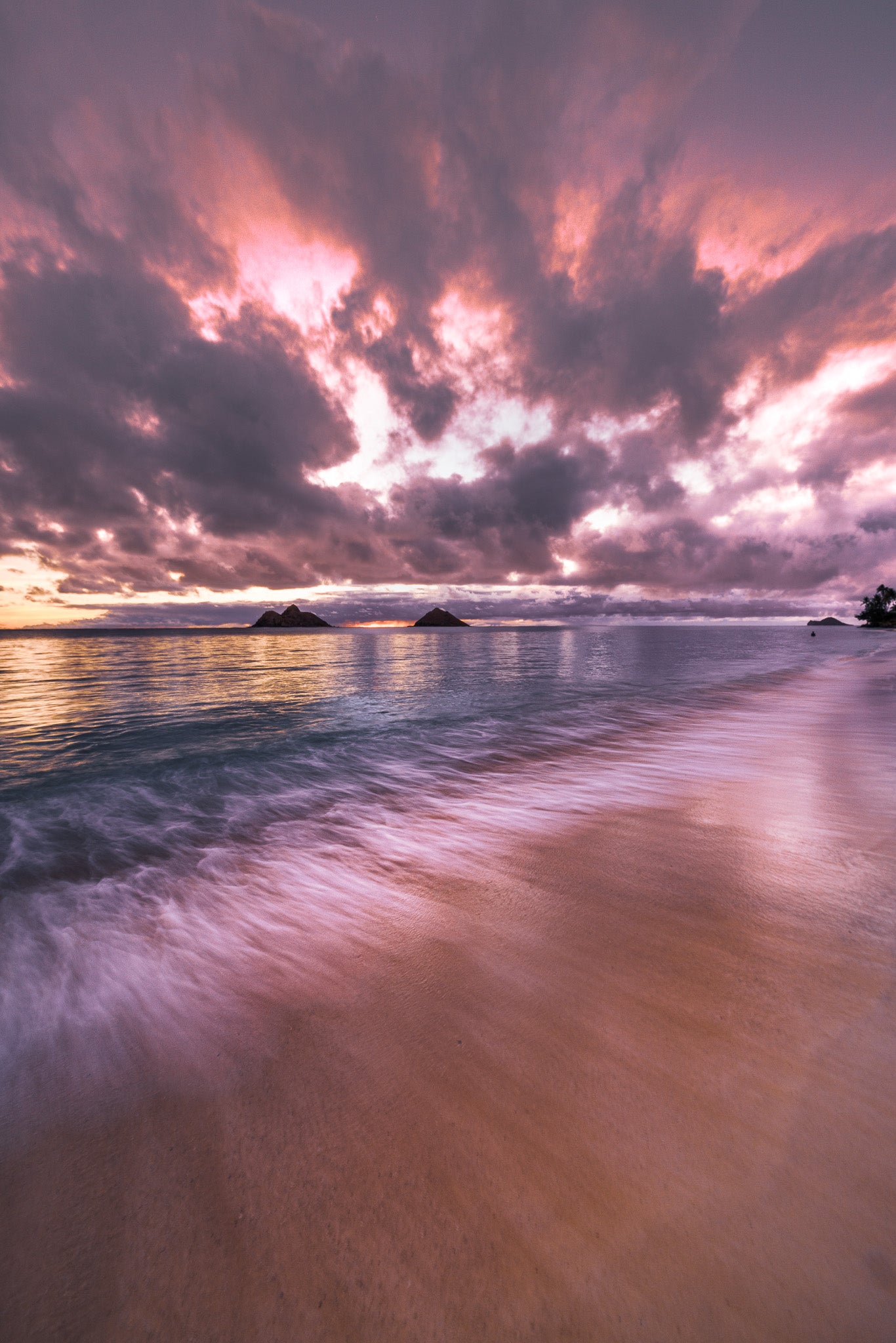 LANIKAI DREAM