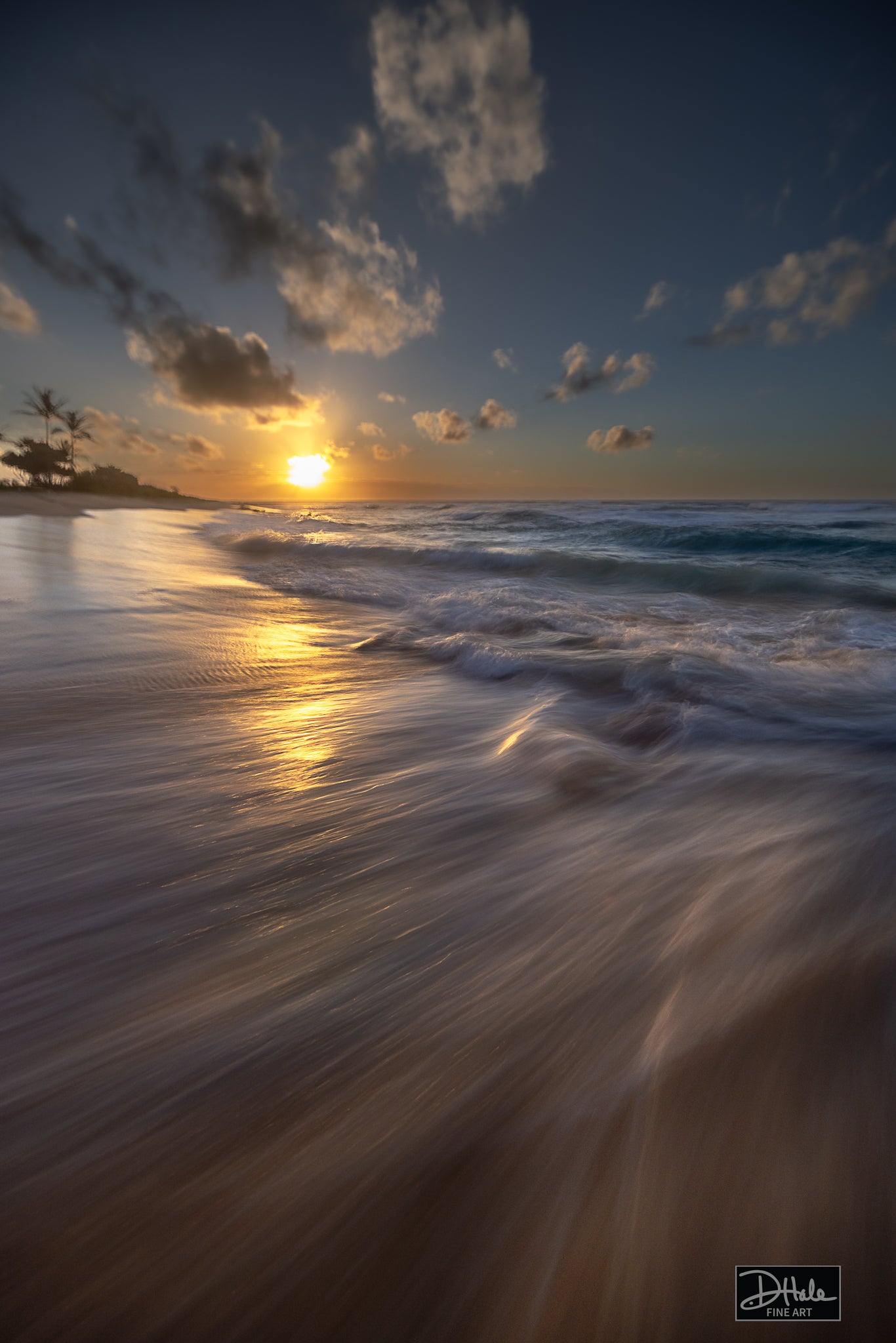 SERENE DREAM 1