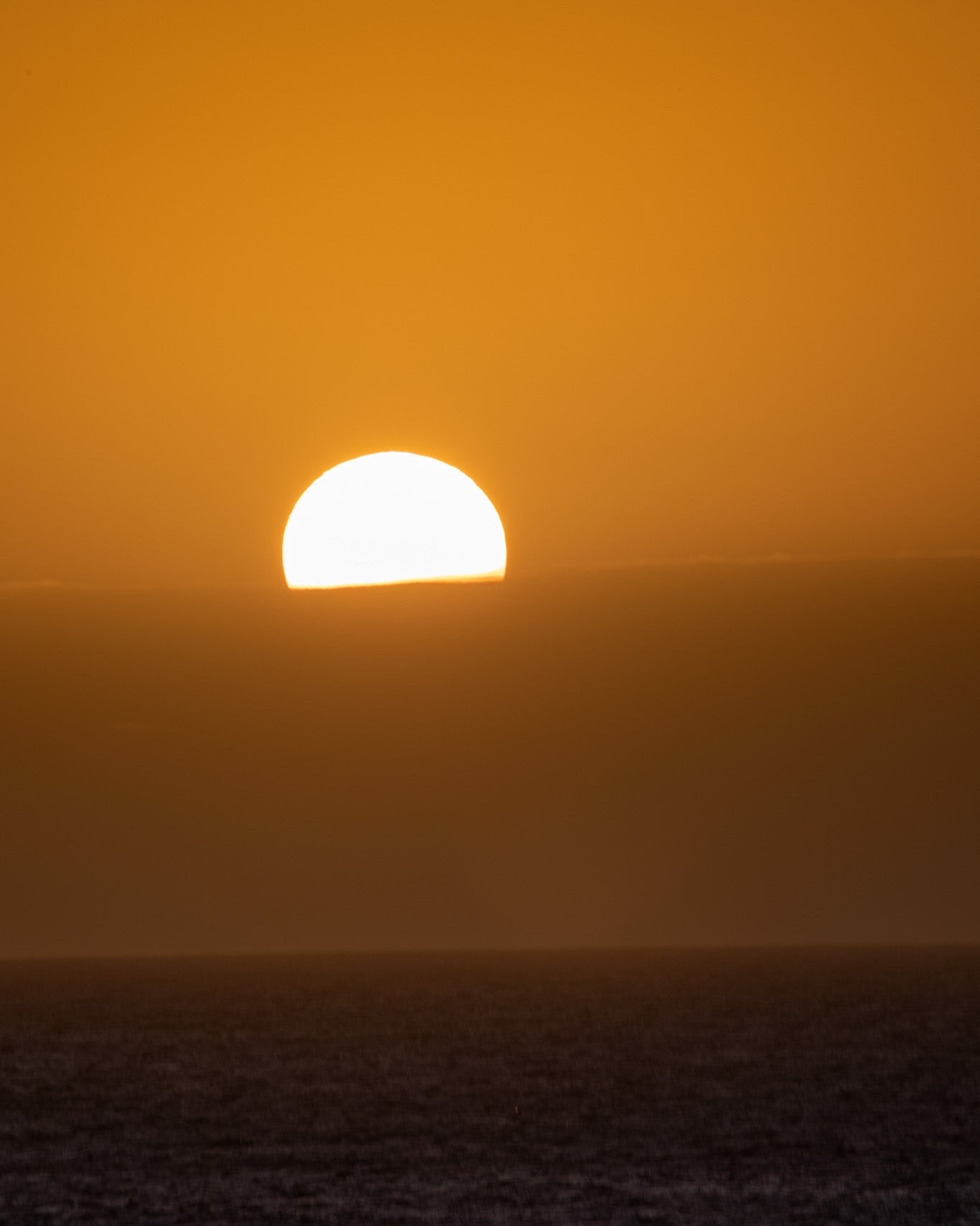 THE SUN
