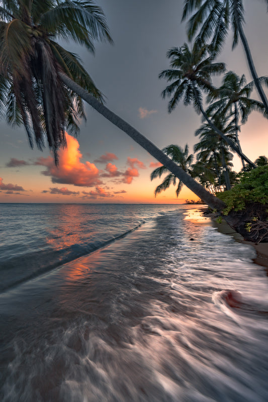 HEART ON THE HORIZON