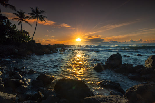 THE SAMURAI SUNSET