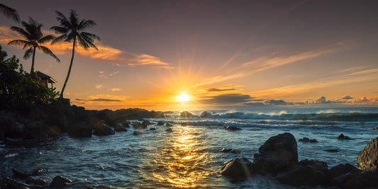 SAMURAI SUNSET 20 X 60 PANORAMIC