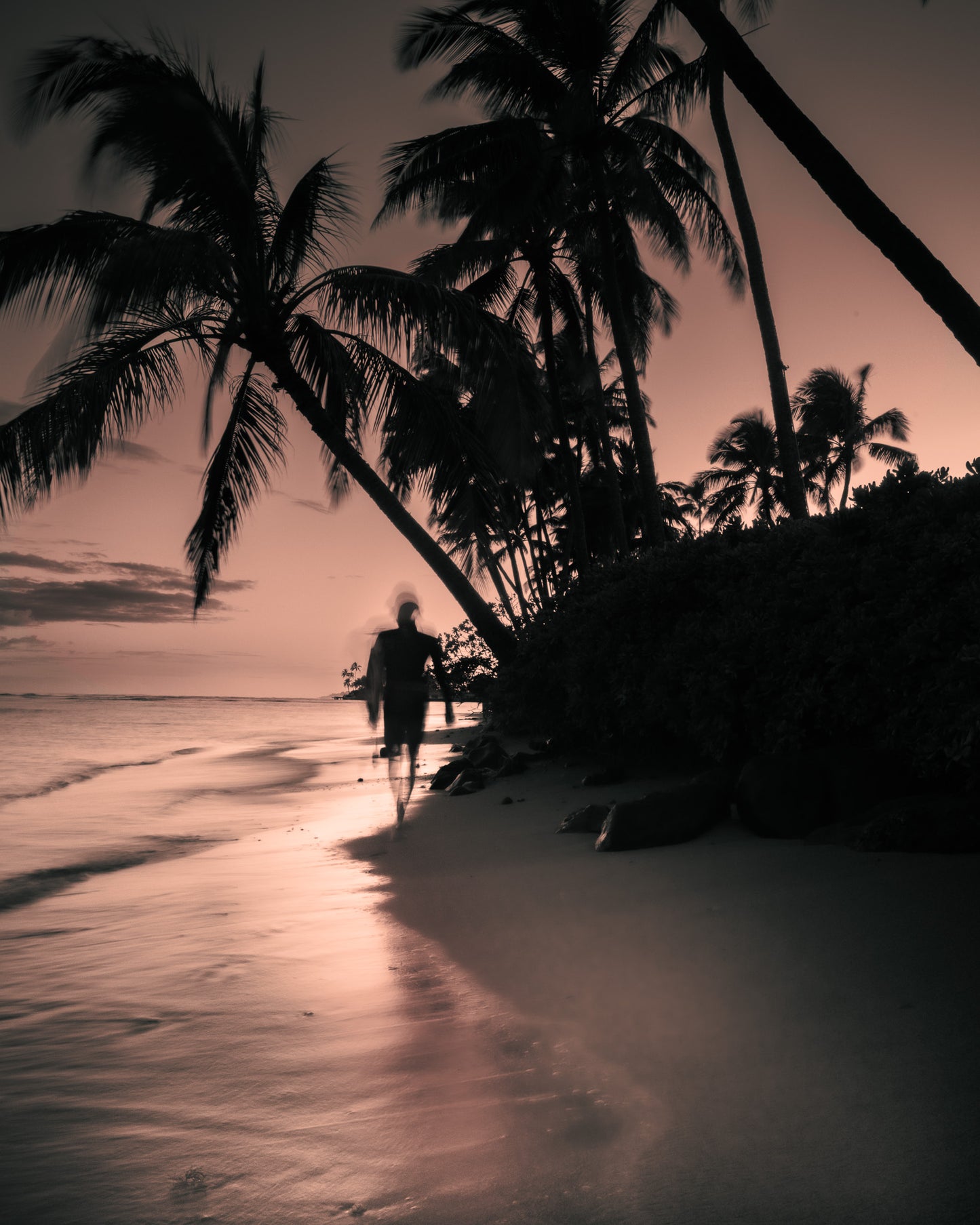 SUNSET SURFER 8 X 10 GICLEE