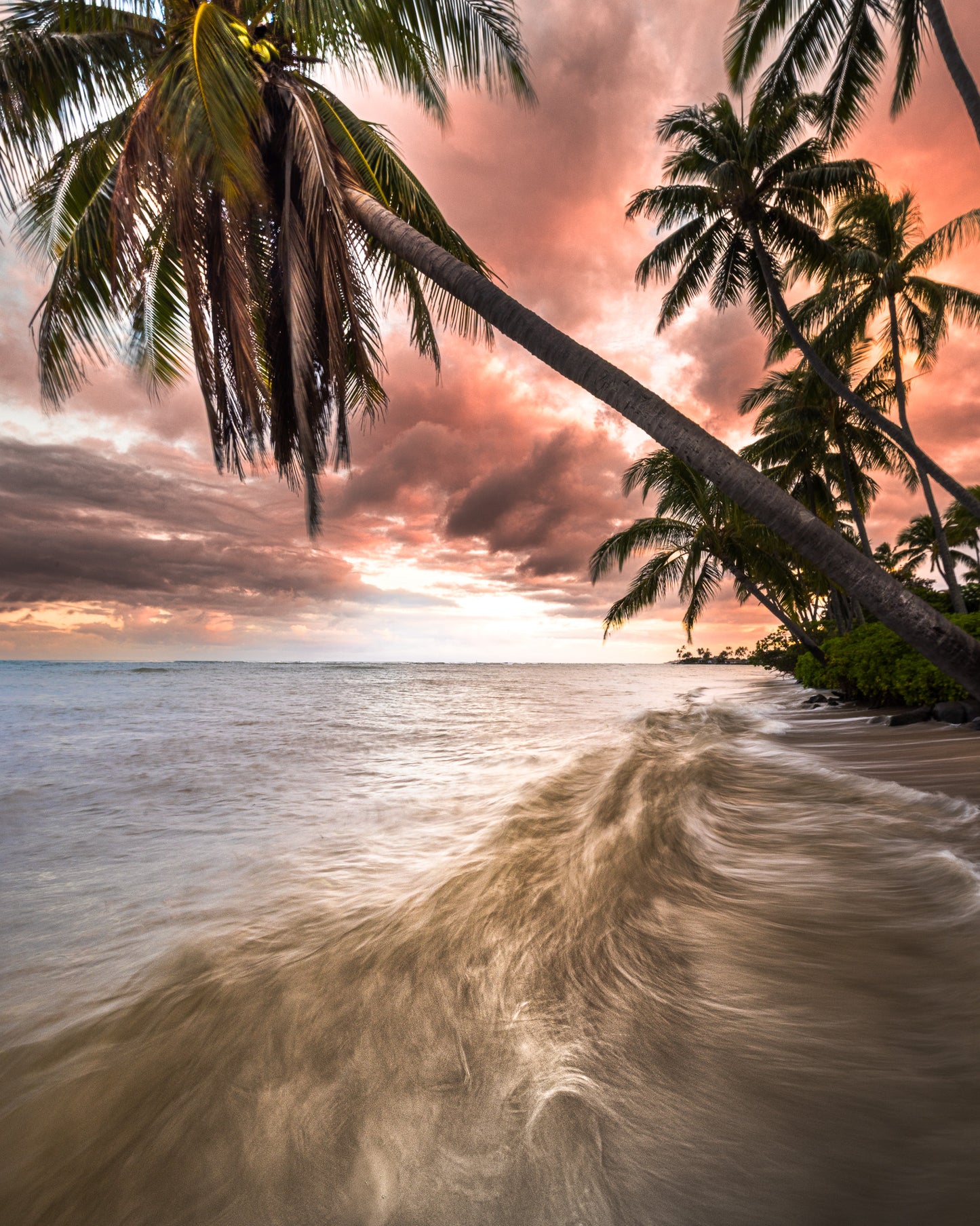 WHISPERS OF THE PACIFIC