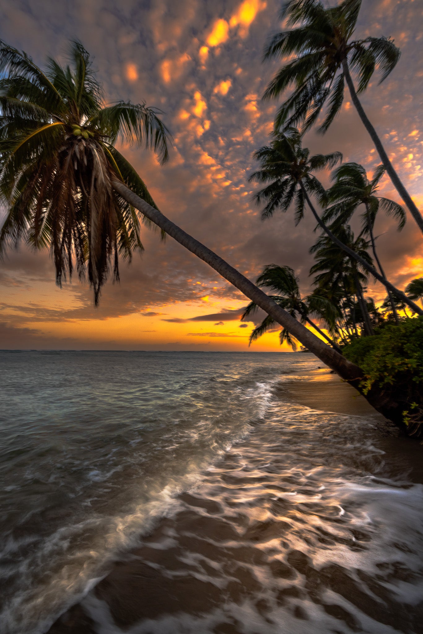 EVENING BLISS