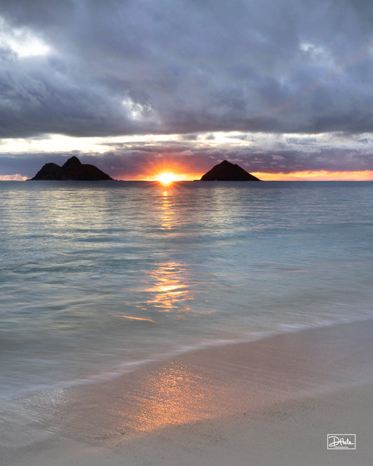 Morning In Paradise,  LIMITED EDITION  8 x 10 GICLEE