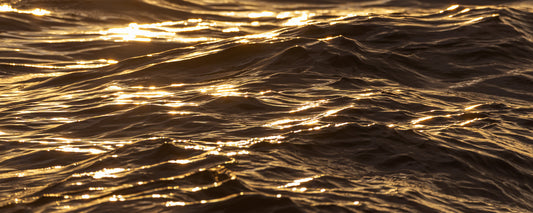 GOLDEN RIPPLE 20 X 48 (LIMITED EDITION) 1/250