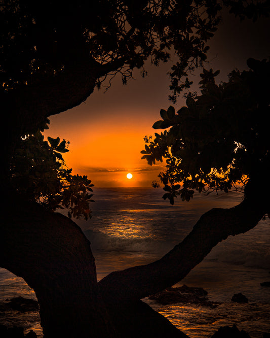 GOLDEN HOUR 8 X 10 LIMITED EDITION 1/100