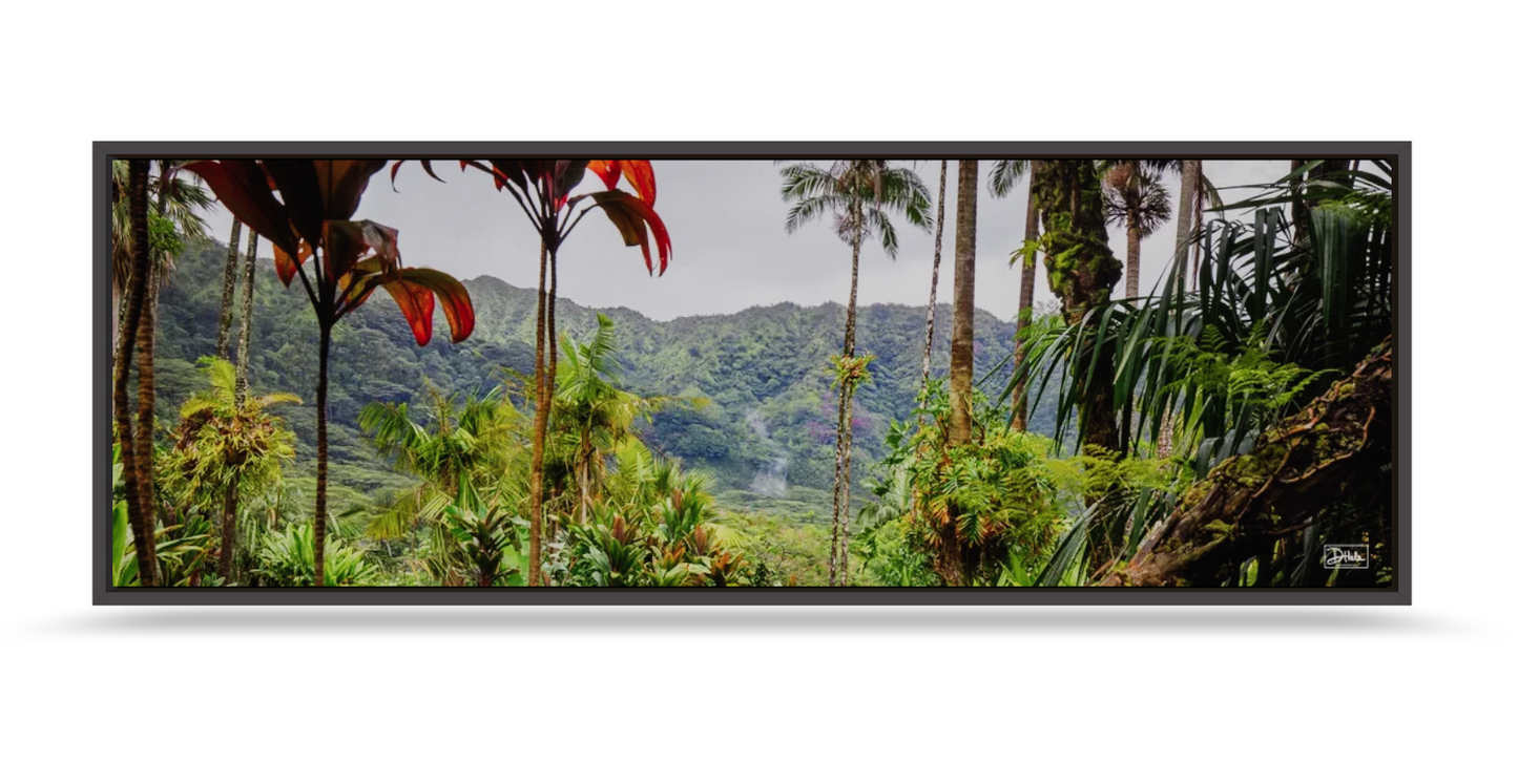 LOST IN PARADISE  (PANORAMIC) 20 X 60