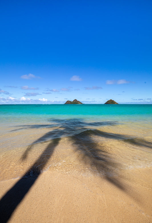 LANIKAI DREAMS V