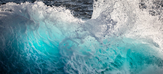 QUANTUM WAVE (LE)
